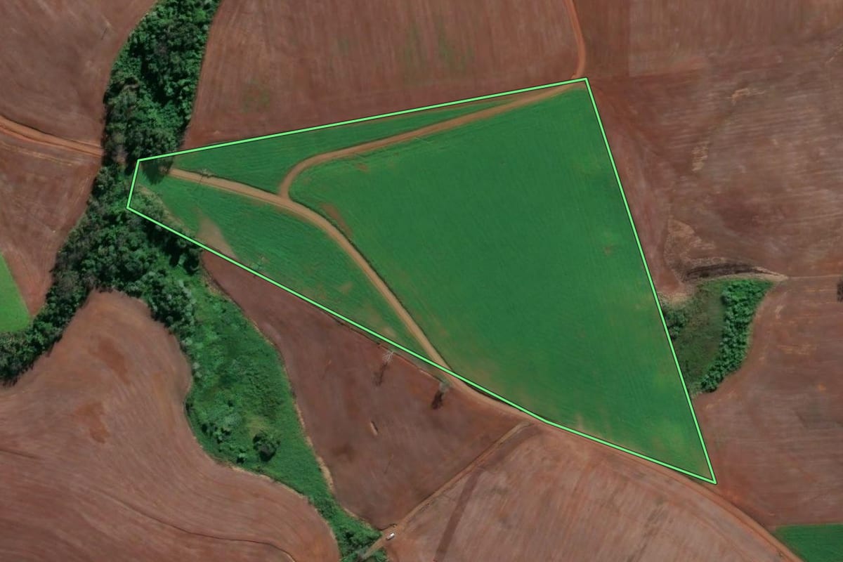 Imagem de satélite do imóvel rural em Vicente Dutra (RS), com o contorno declarado no CAR desenhado por cima.