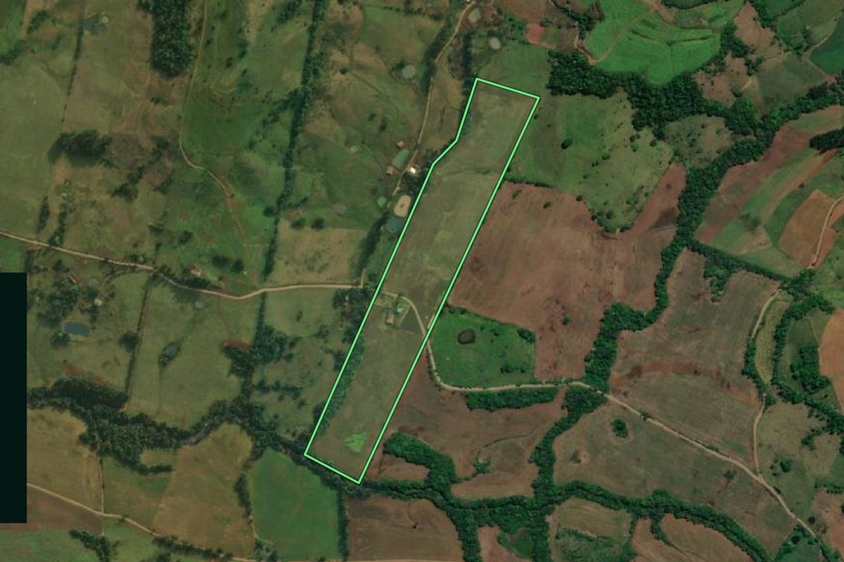 Imagem de satélite do imóvel rural em Vicente Dutra (RS), com o contorno declarado no CAR desenhado por cima.