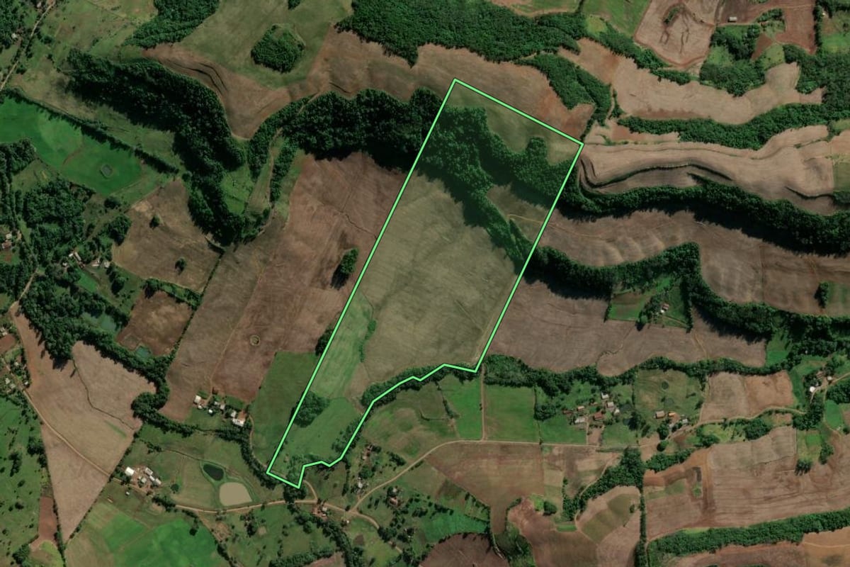 Imagem de satélite do imóvel rural em Vicente Dutra (RS), com o contorno declarado no CAR desenhado por cima.