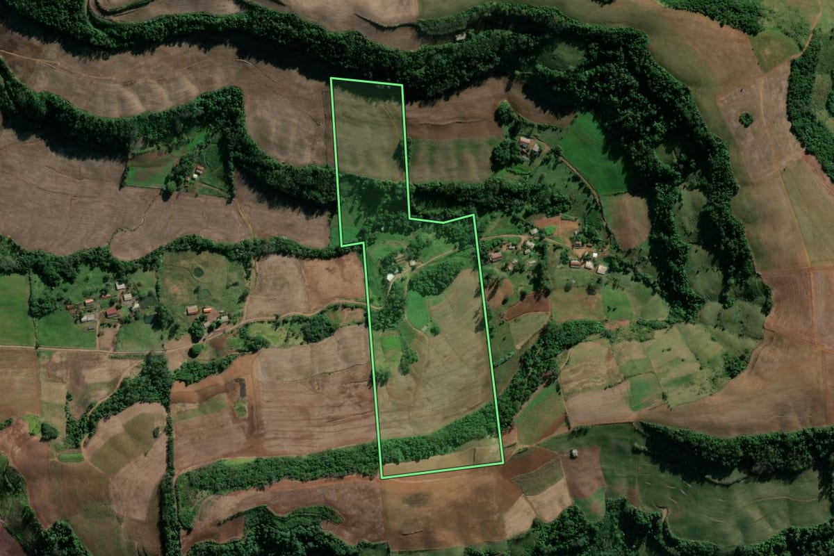 Imagem de satélite do imóvel rural em Vicente Dutra (RS), com o contorno declarado no CAR desenhado por cima.