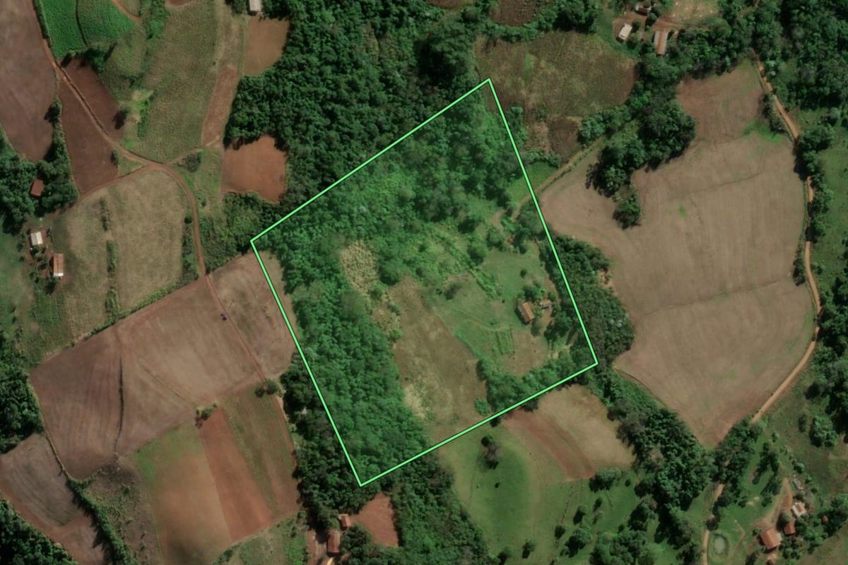 Imagem de satélite do imóvel rural em Vicente Dutra (RS), com o contorno declarado no CAR desenhado por cima.