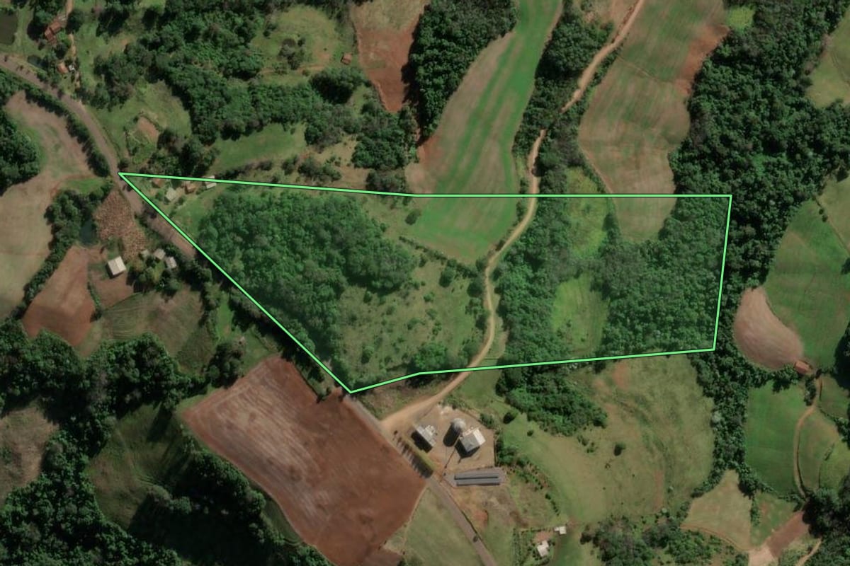 Imagem de satélite do imóvel rural em Vicente Dutra (RS), com o contorno declarado no CAR desenhado por cima.