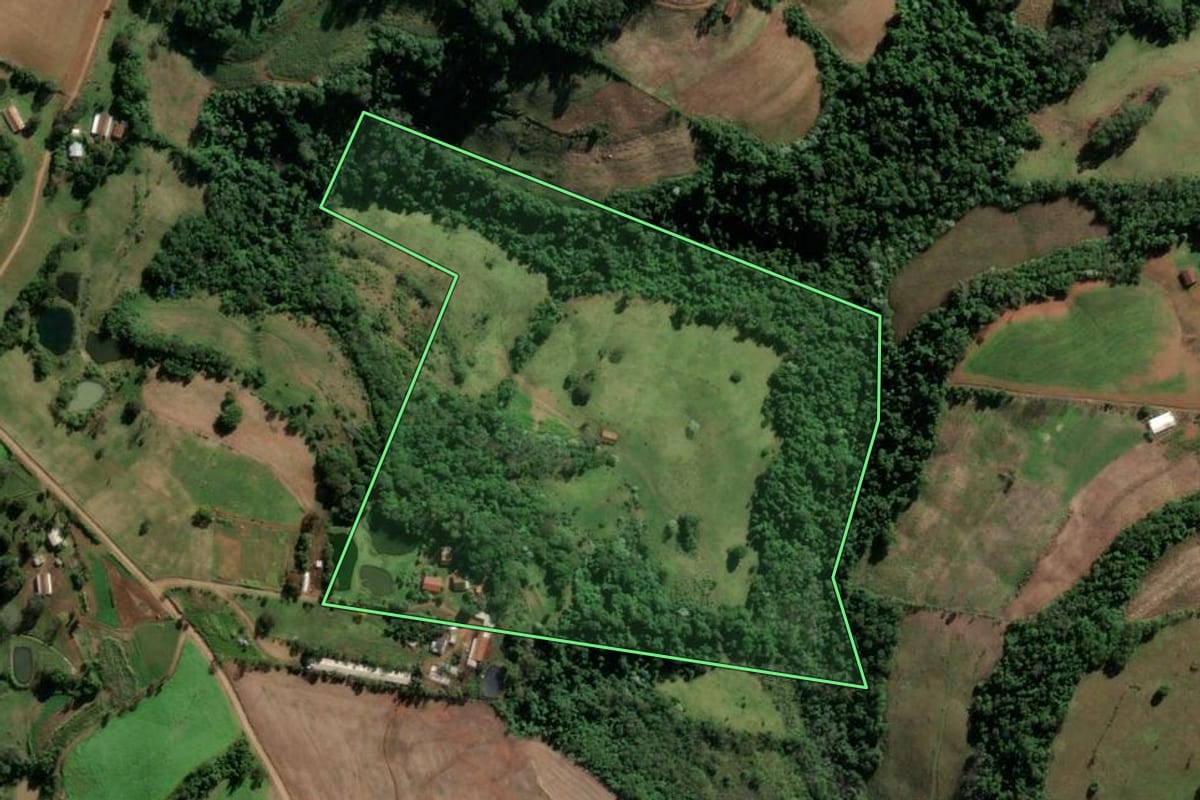 Imagem de satélite do imóvel rural em Vicente Dutra (RS), com o contorno declarado no CAR desenhado por cima.