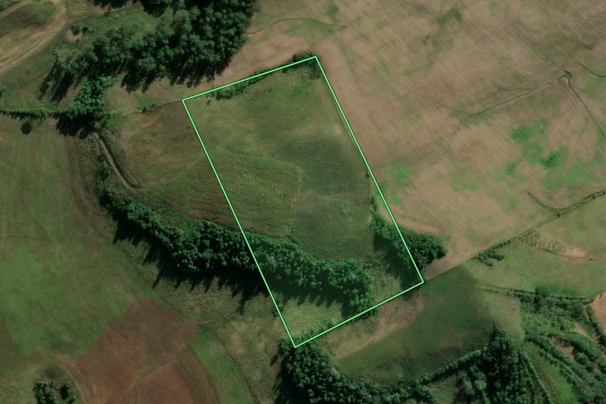 Imagem de satélite do imóvel rural em Vicente Dutra (RS), com o contorno declarado no CAR desenhado por cima.
