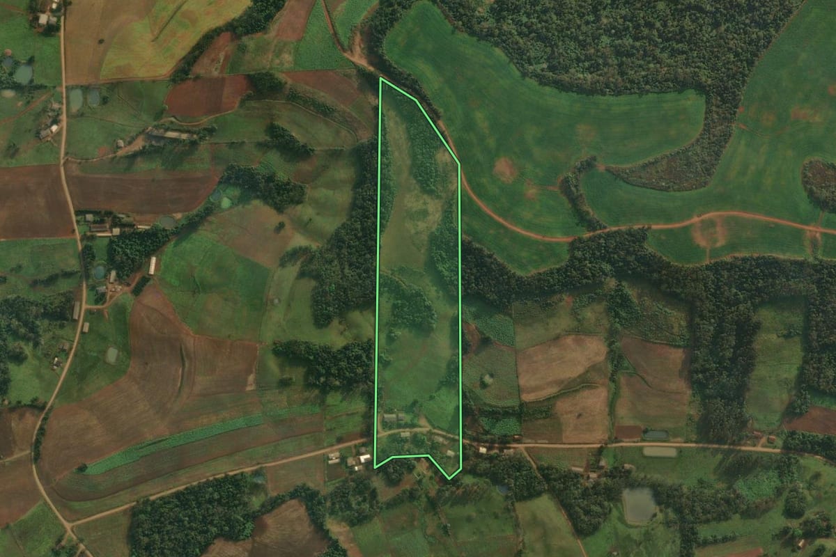 Imagem de satélite do imóvel rural em Vicente Dutra (RS), com o contorno declarado no CAR desenhado por cima.