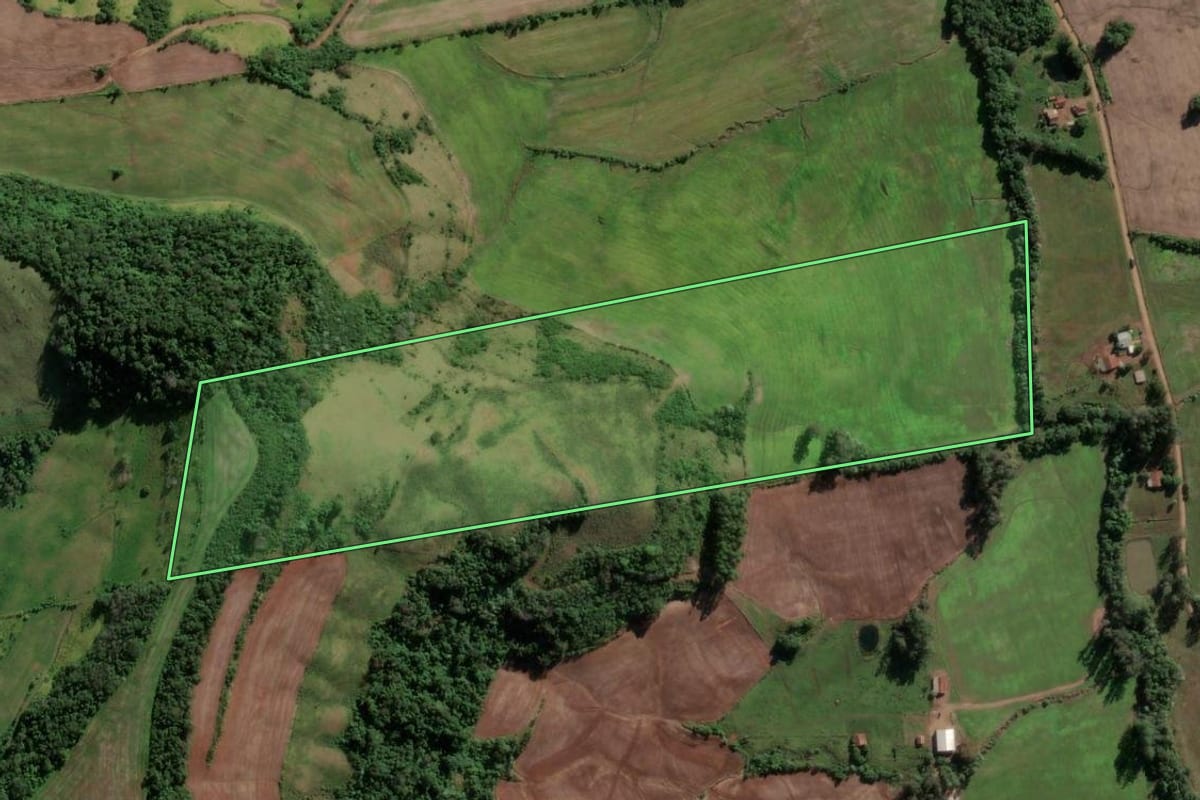 Imagem de satélite do imóvel rural em Vicente Dutra (RS), com o contorno declarado no CAR desenhado por cima.