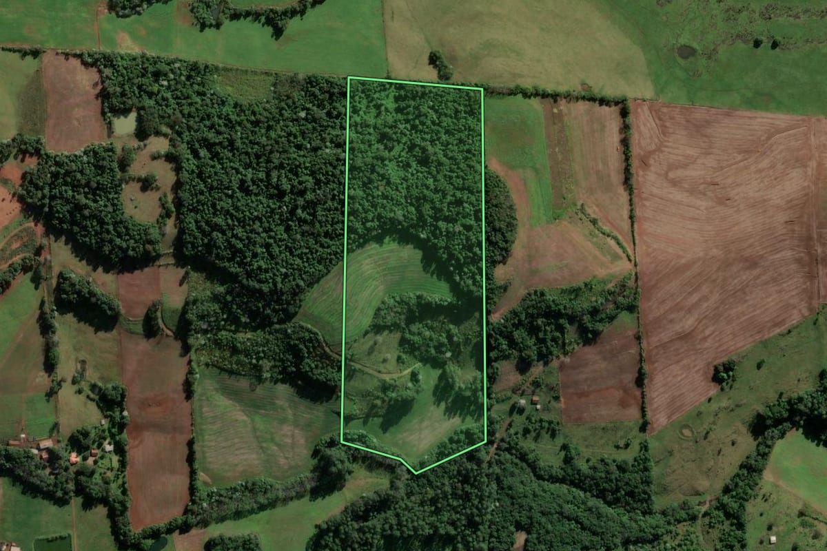 Imagem de satélite do imóvel rural em Vicente Dutra (RS), com o contorno declarado no CAR desenhado por cima.