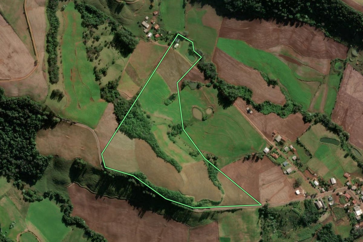 Imagem de satélite do imóvel rural em Vicente Dutra (RS), com o contorno declarado no CAR desenhado por cima.