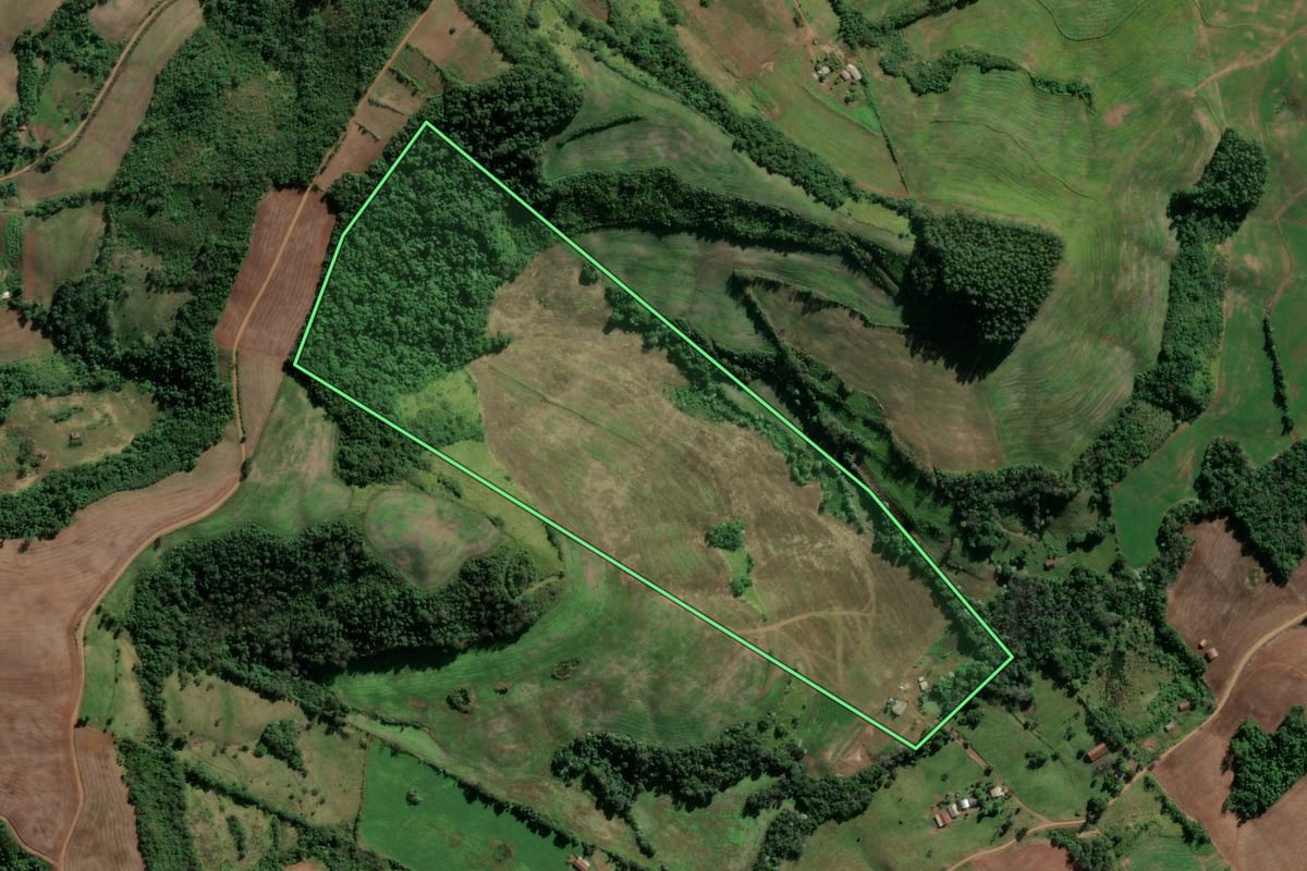 Imagem de satélite do imóvel rural em Vicente Dutra (RS), com o contorno declarado no CAR desenhado por cima.