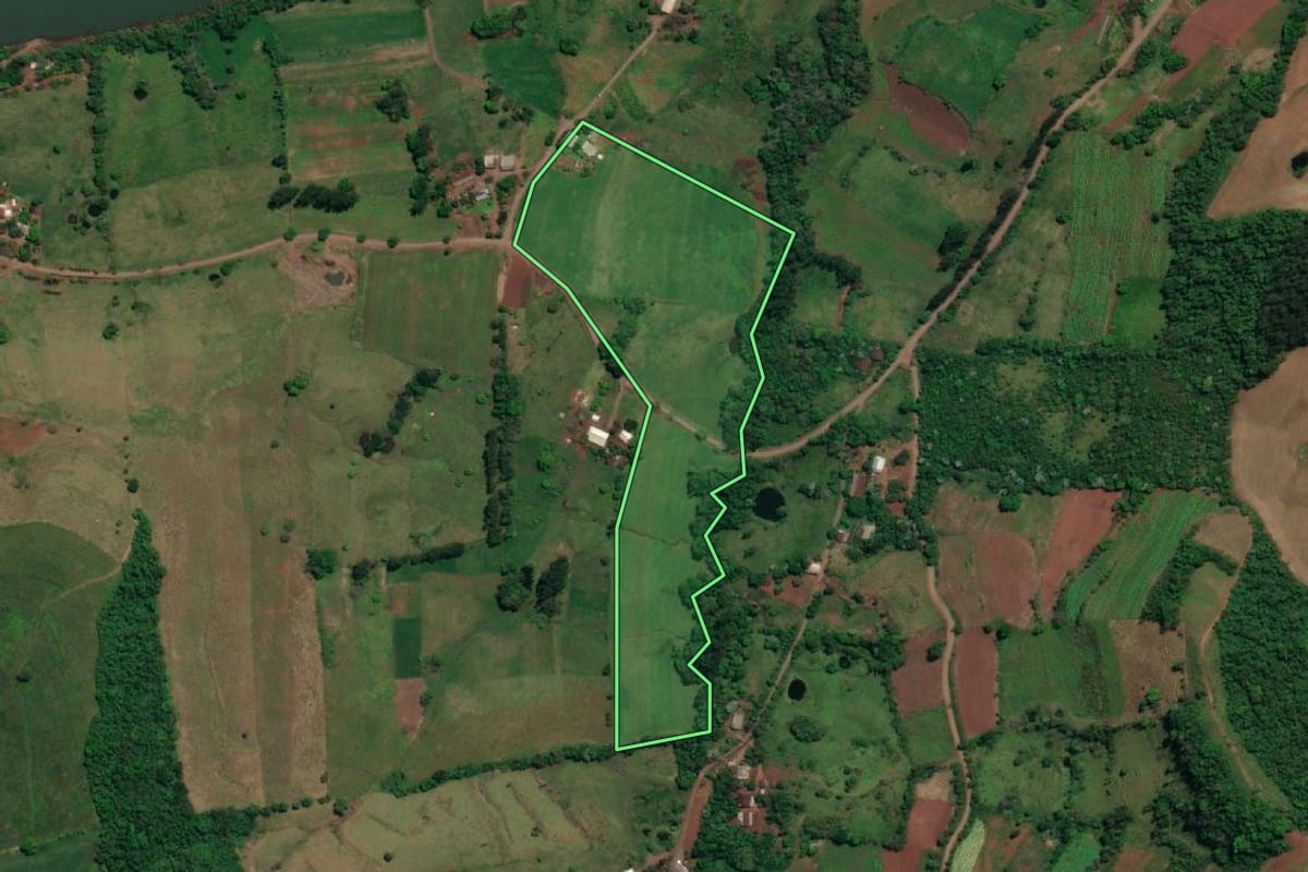 Imagem de satélite do imóvel rural em Vicente Dutra (RS), com o contorno declarado no CAR desenhado por cima.