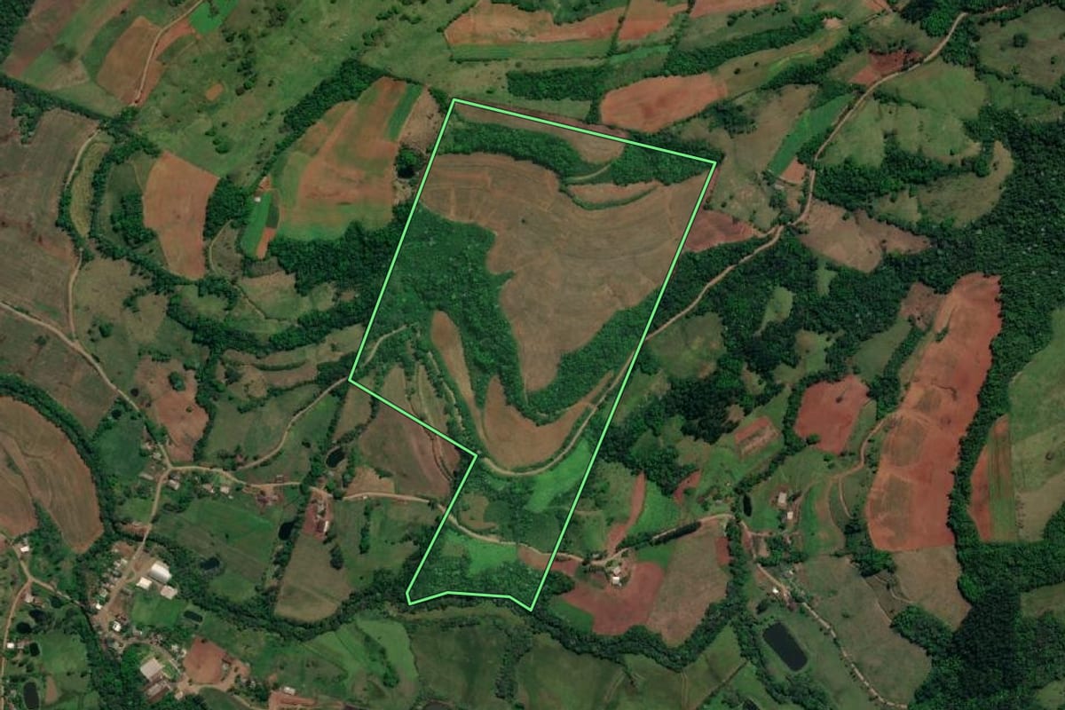 Imagem de satélite do imóvel rural em Vicente Dutra (RS), com o contorno declarado no CAR desenhado por cima.