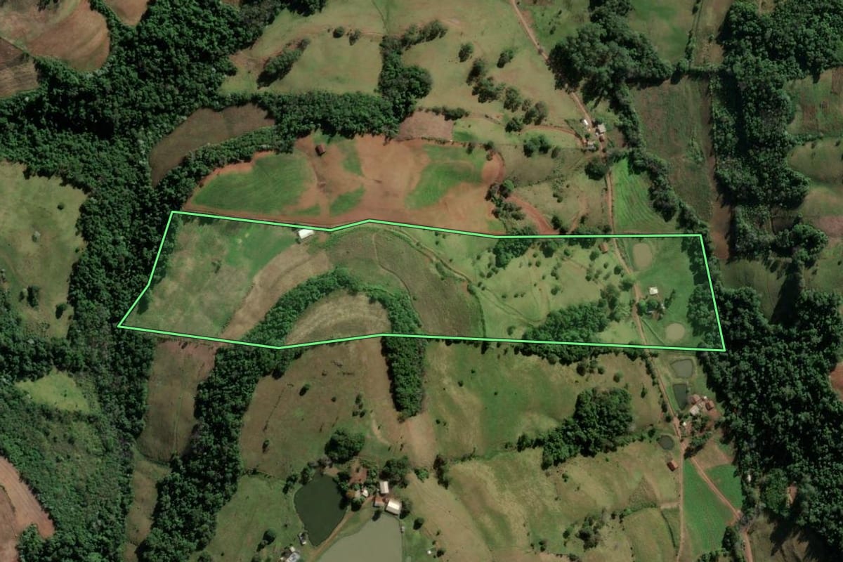 Imagem de satélite do imóvel rural em Vicente Dutra (RS), com o contorno declarado no CAR desenhado por cima.
