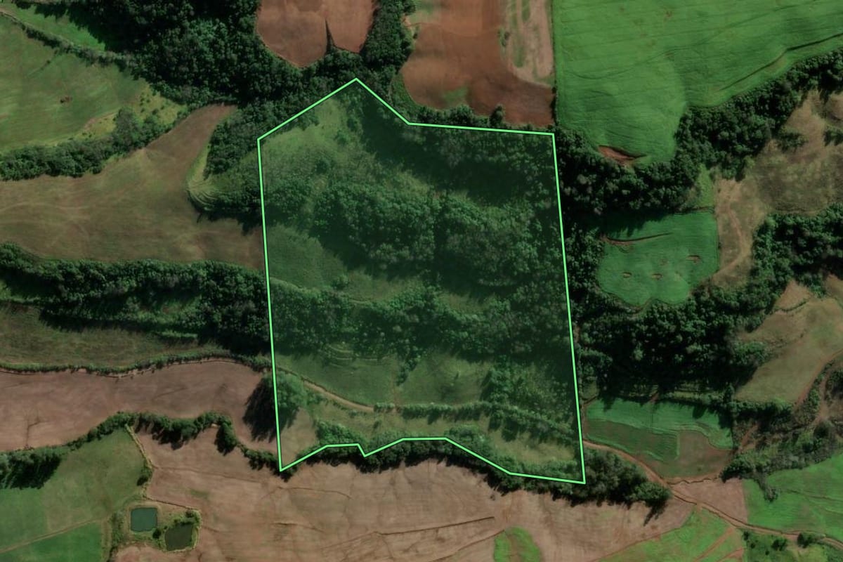 Imagem de satélite do imóvel rural em Vicente Dutra (RS), com o contorno declarado no CAR desenhado por cima.
