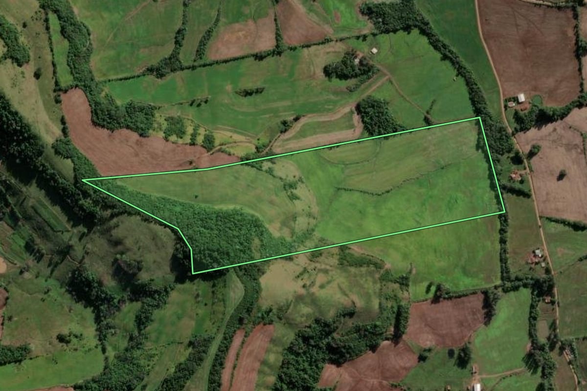 Imagem de satélite do imóvel rural em Vicente Dutra (RS), com o contorno declarado no CAR desenhado por cima.