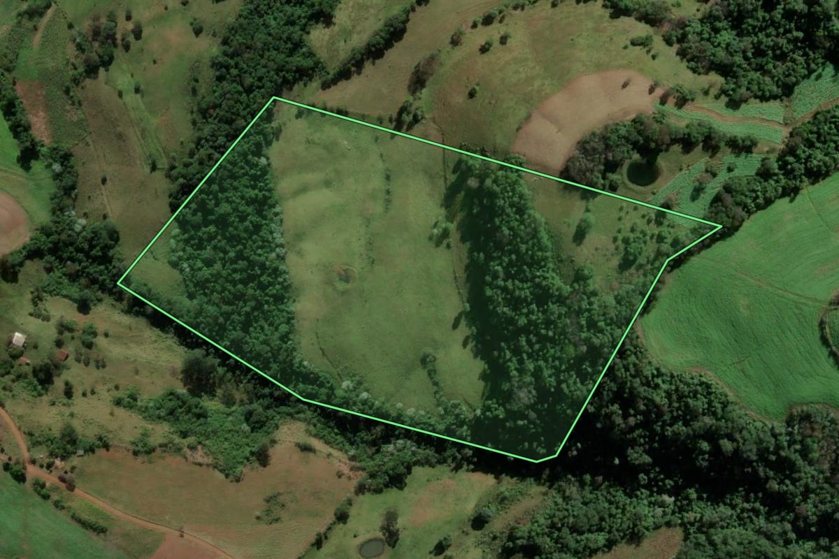 Imagem de satélite do imóvel rural em Vicente Dutra (RS), com o contorno declarado no CAR desenhado por cima.
