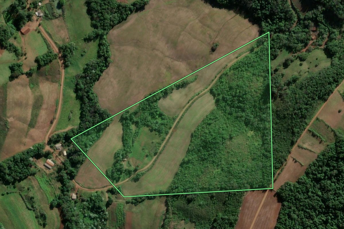 Imagem de satélite do imóvel rural em Vicente Dutra (RS), com o contorno declarado no CAR desenhado por cima.