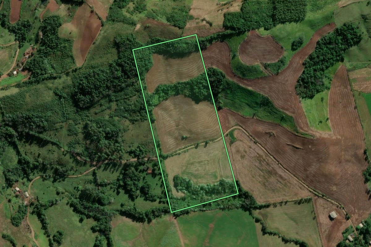 Imagem de satélite do imóvel rural em Vicente Dutra (RS), com o contorno declarado no CAR desenhado por cima.
