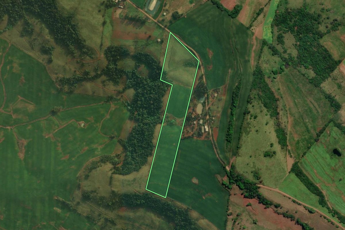 Imagem de satélite do imóvel rural em Vicente Dutra (RS), com o contorno declarado no CAR desenhado por cima.