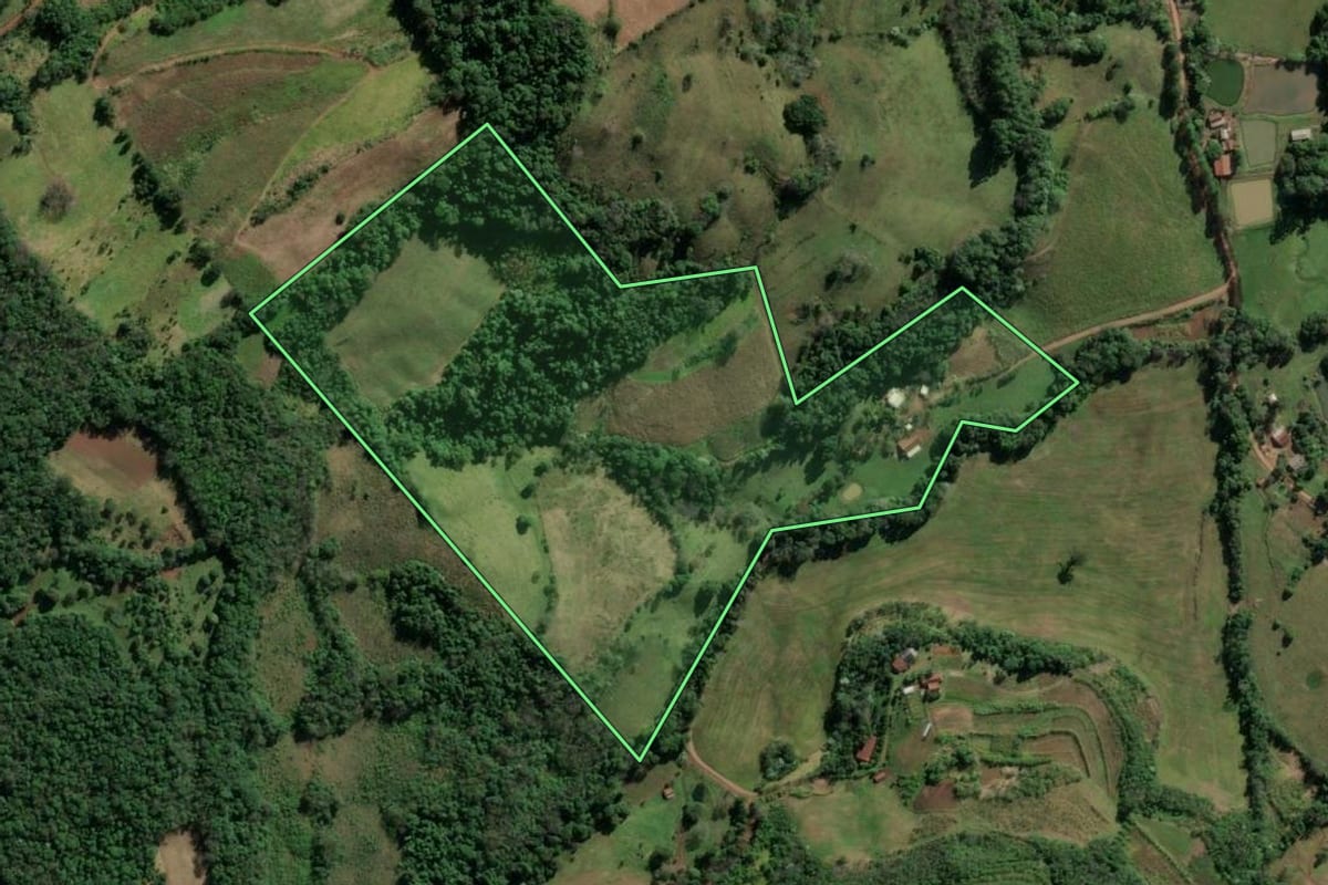 Imagem de satélite do imóvel rural em Vicente Dutra (RS), com o contorno declarado no CAR desenhado por cima.