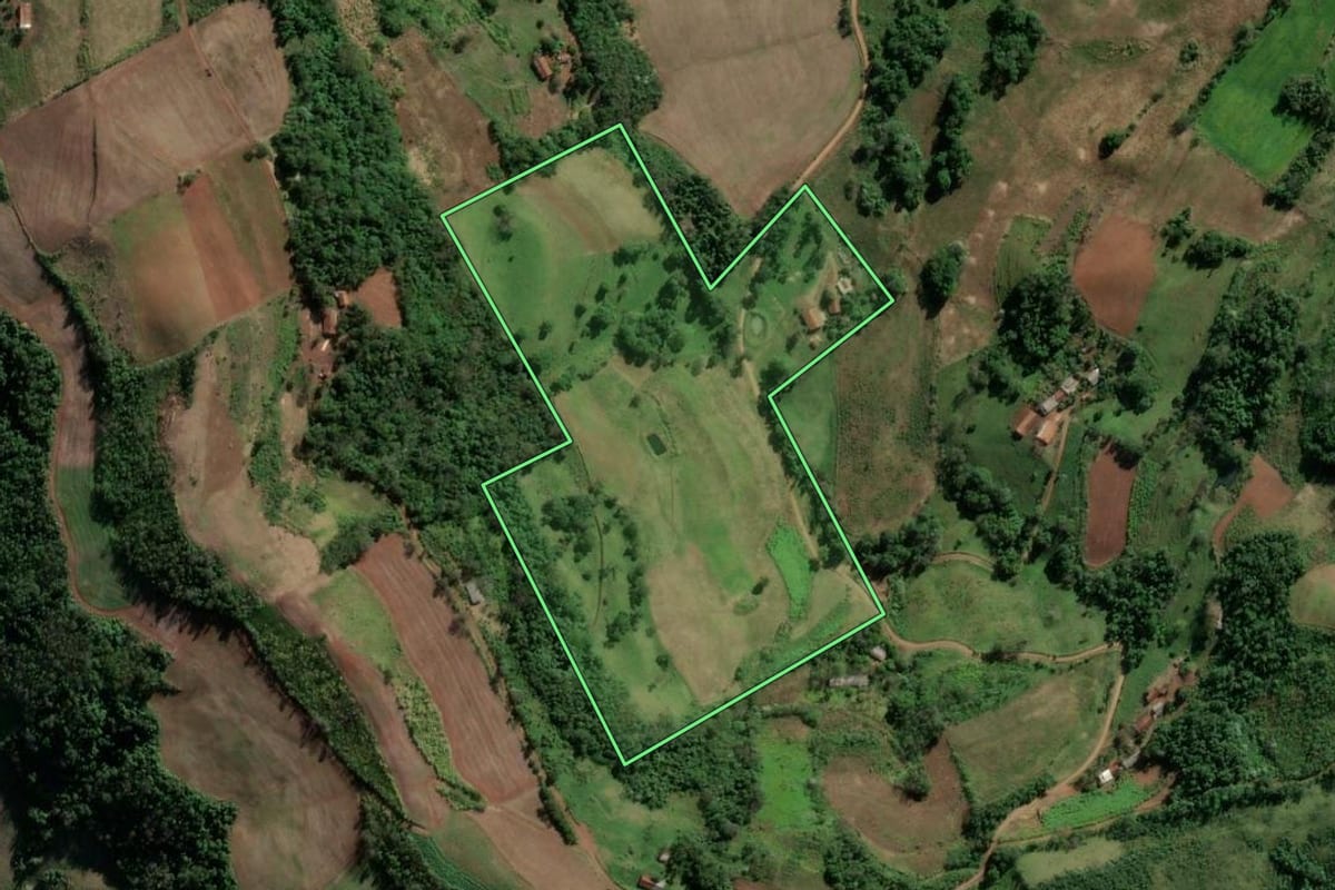 Imagem de satélite do imóvel rural em Vicente Dutra (RS), com o contorno declarado no CAR desenhado por cima.