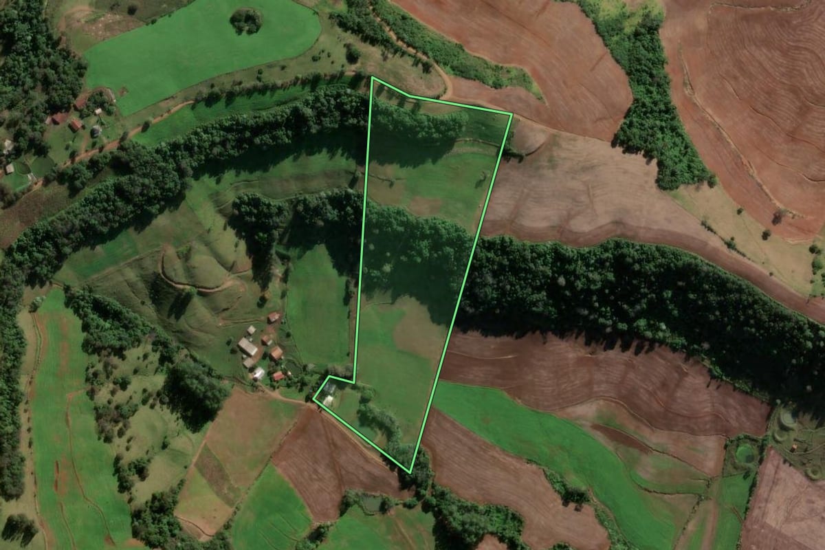 Imagem de satélite do imóvel rural em Vicente Dutra (RS), com o contorno declarado no CAR desenhado por cima.