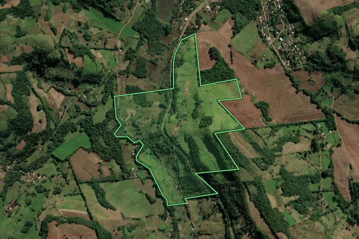 Imagem de satélite do imóvel rural em Vicente Dutra (RS), com o contorno declarado no CAR desenhado por cima.
