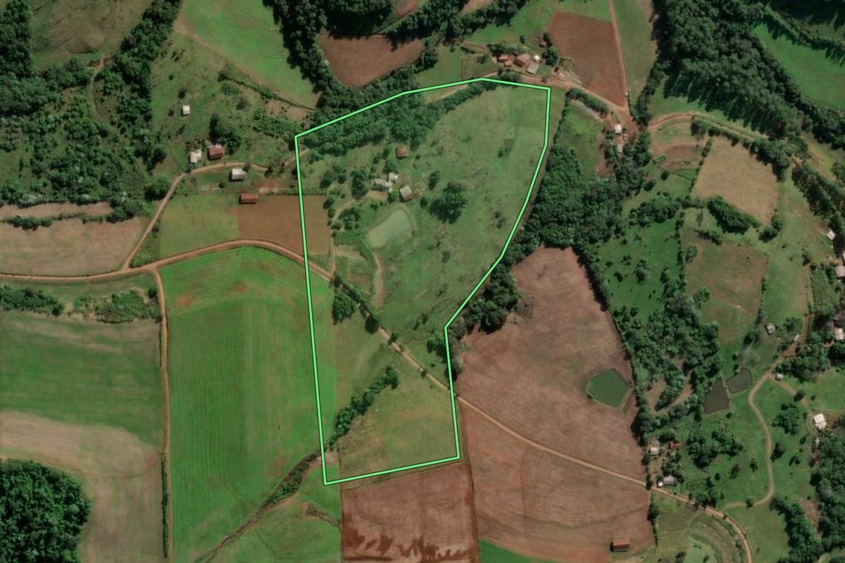 Imagem de satélite do imóvel rural em Vicente Dutra (RS), com o contorno declarado no CAR desenhado por cima.