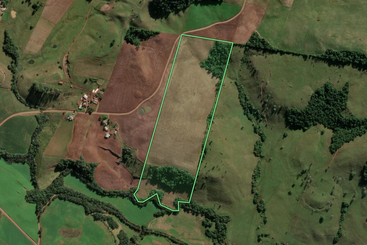 Imagem de satélite do imóvel rural em Vicente Dutra (RS), com o contorno declarado no CAR desenhado por cima.