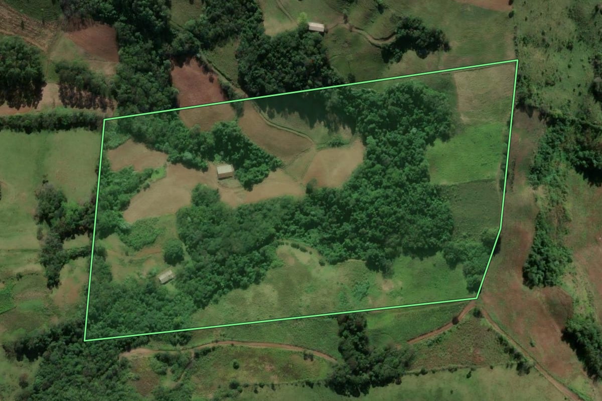 Imagem de satélite do imóvel rural em Vicente Dutra (RS), com o contorno declarado no CAR desenhado por cima.