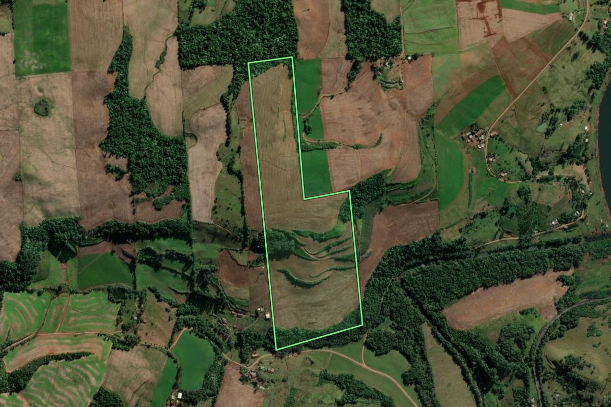 Imagem de satélite do imóvel rural em Vicente Dutra (RS), com o contorno declarado no CAR desenhado por cima.