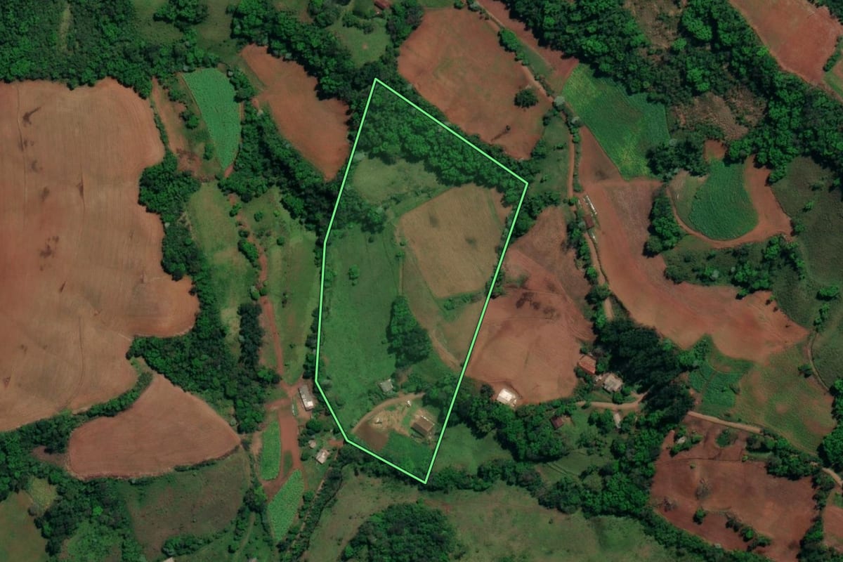 Imagem de satélite do imóvel rural em Vicente Dutra (RS), com o contorno declarado no CAR desenhado por cima.