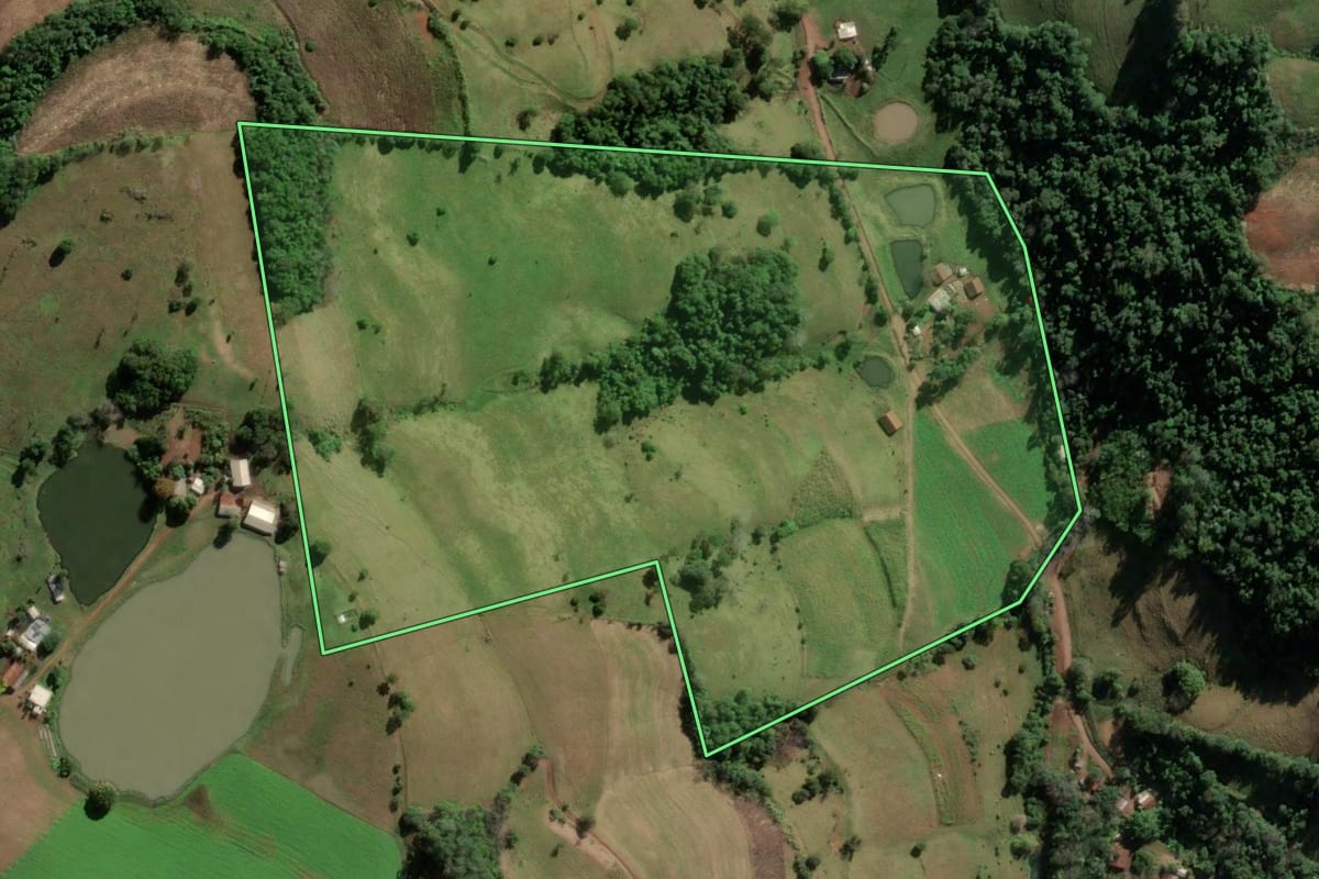 Imagem de satélite do imóvel rural em Vicente Dutra (RS), com o contorno declarado no CAR desenhado por cima.