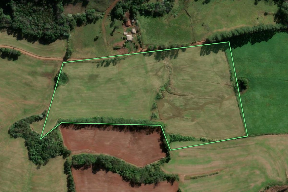 Imagem de satélite do imóvel rural em Vicente Dutra (RS), com o contorno declarado no CAR desenhado por cima.