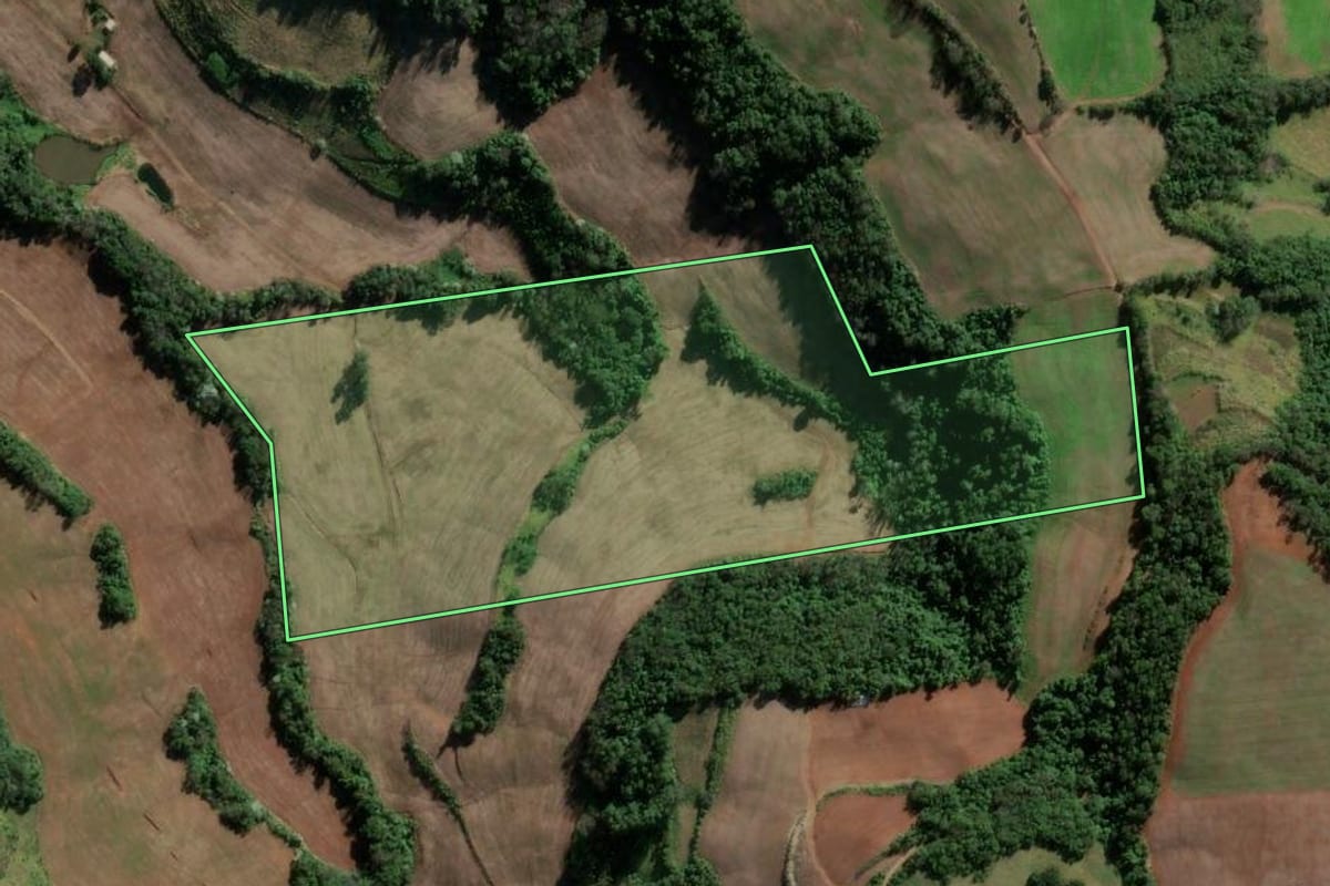 Imagem de satélite do imóvel rural em Vicente Dutra (RS), com o contorno declarado no CAR desenhado por cima.