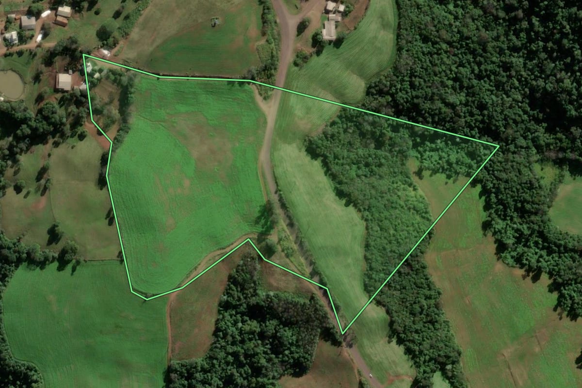 Imagem de satélite do imóvel rural em Vicente Dutra (RS), com o contorno declarado no CAR desenhado por cima.