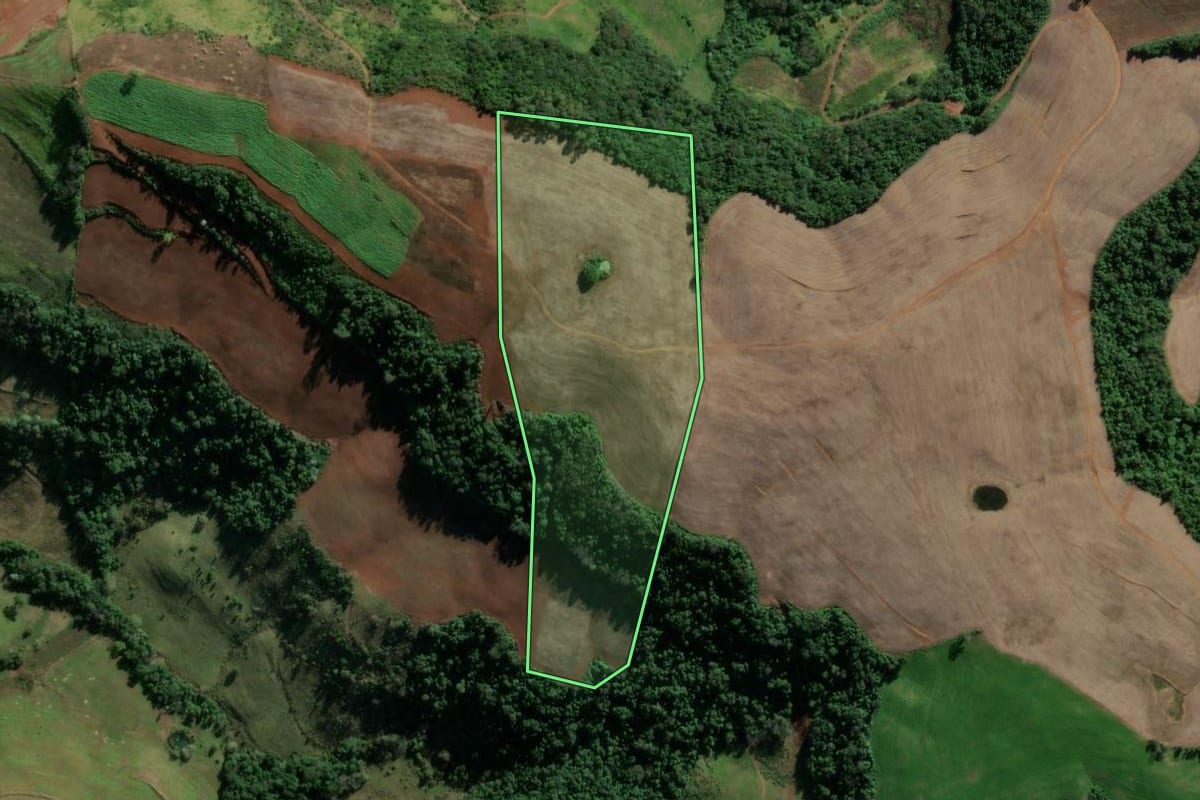 Imagem de satélite do imóvel rural em Vicente Dutra (RS), com o contorno declarado no CAR desenhado por cima.