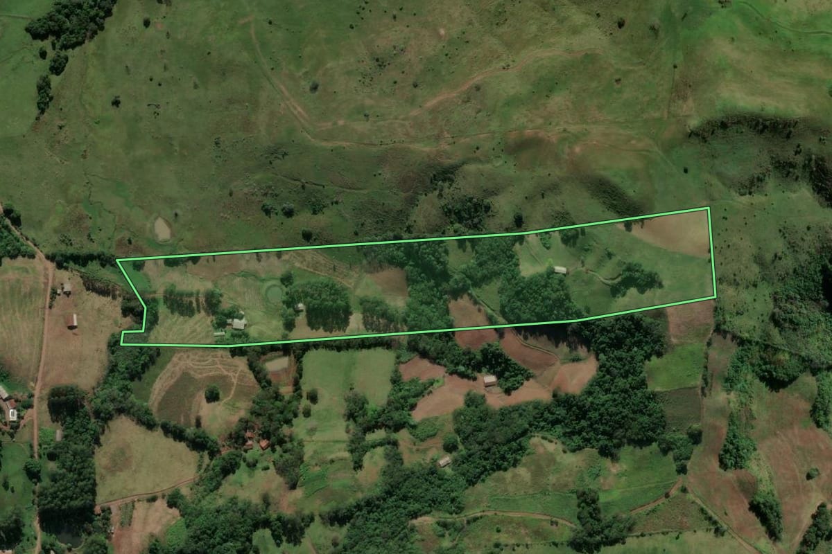 Imagem de satélite do imóvel rural em Vicente Dutra (RS), com o contorno declarado no CAR desenhado por cima.
