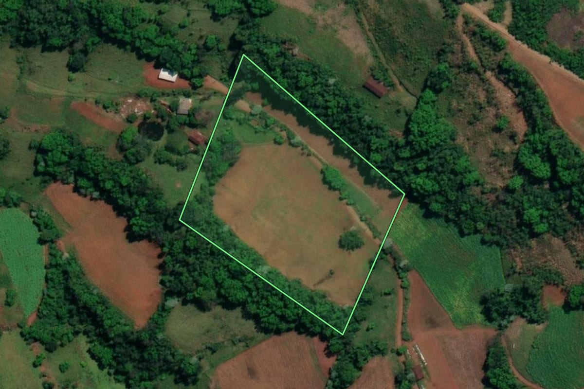 Imagem de satélite do imóvel rural em Vicente Dutra (RS), com o contorno declarado no CAR desenhado por cima.