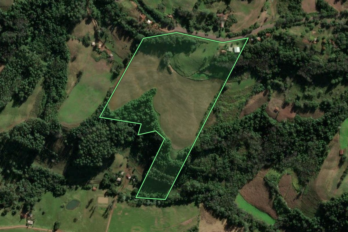 Imagem de satélite do imóvel rural em Vicente Dutra (RS), com o contorno declarado no CAR desenhado por cima.