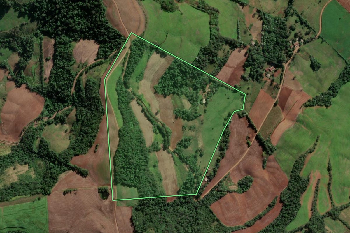 Imagem de satélite do imóvel rural em Vicente Dutra (RS), com o contorno declarado no CAR desenhado por cima.