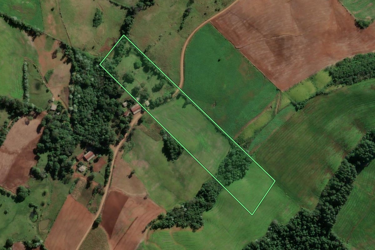 Imagem de satélite do imóvel rural em Vicente Dutra (RS), com o contorno declarado no CAR desenhado por cima.