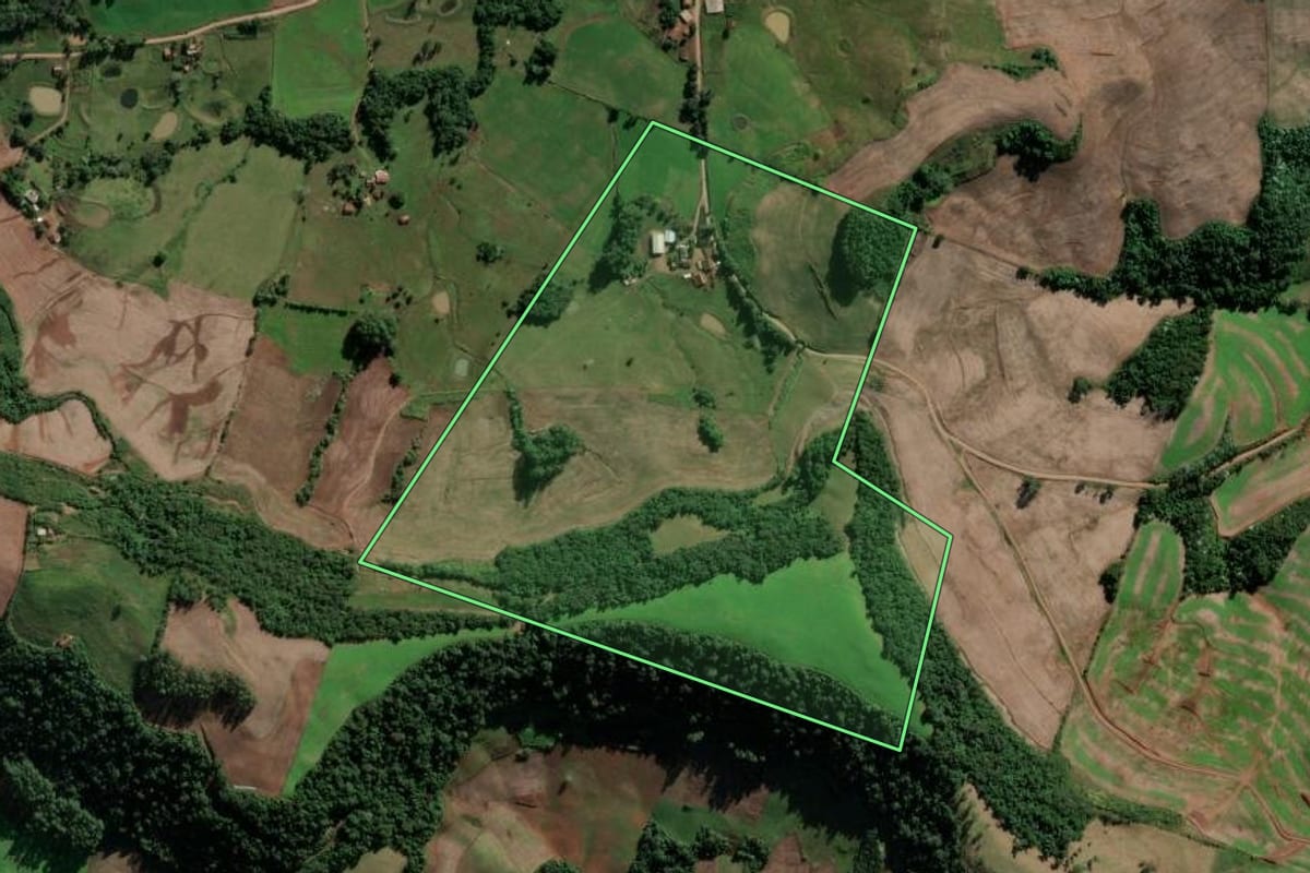 Imagem de satélite do imóvel rural em Vicente Dutra (RS), com o contorno declarado no CAR desenhado por cima.