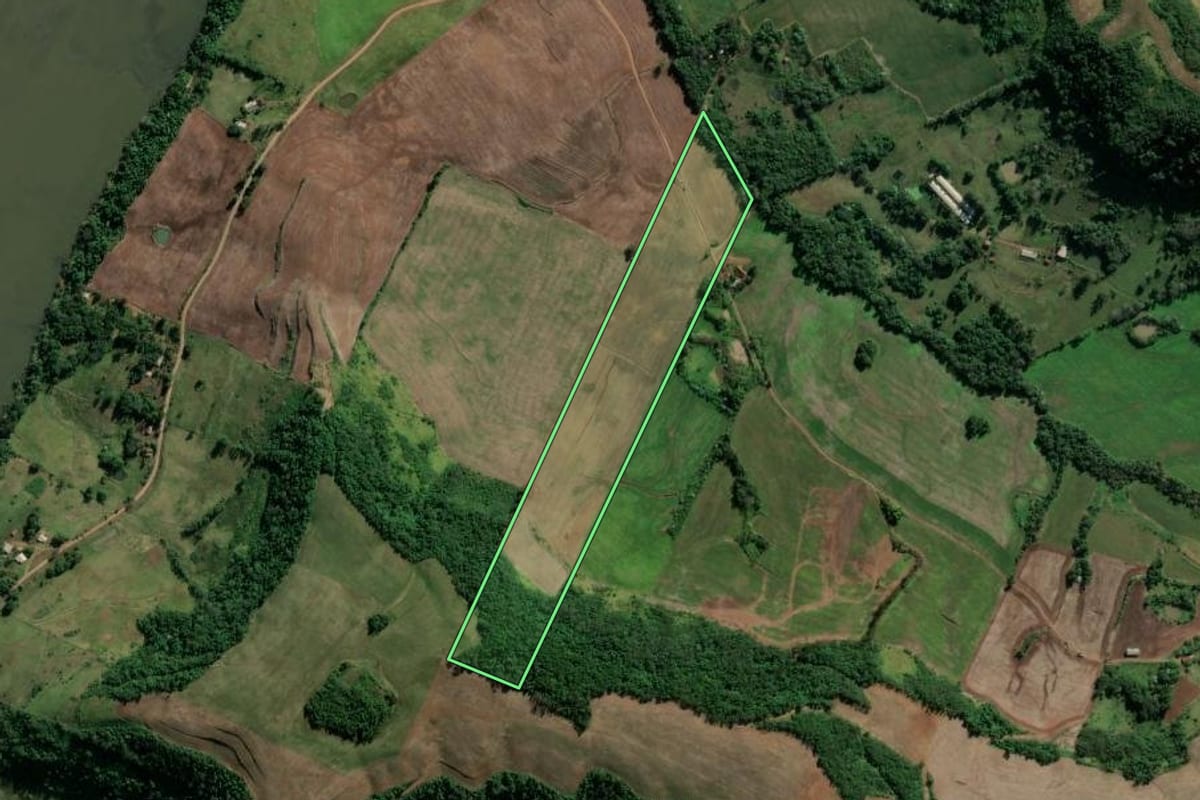 Imagem de satélite do imóvel rural em Vicente Dutra (RS), com o contorno declarado no CAR desenhado por cima.