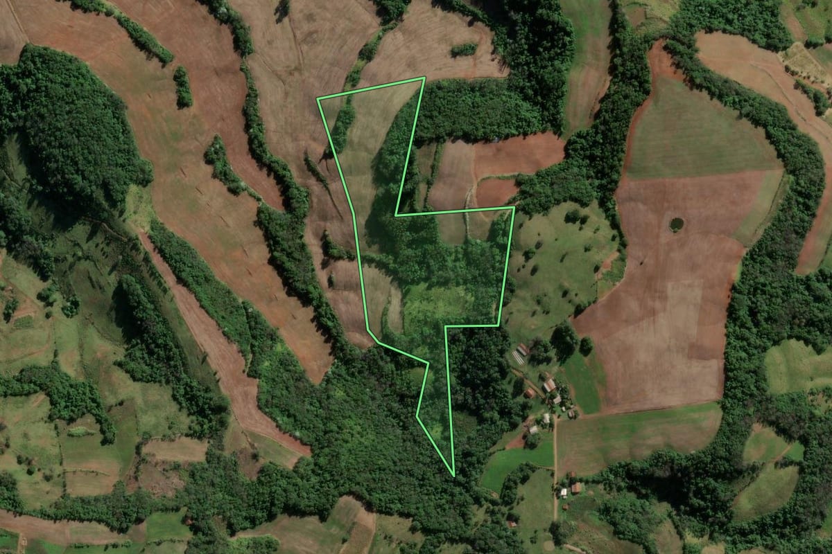Imagem de satélite do imóvel rural em Vicente Dutra (RS), com o contorno declarado no CAR desenhado por cima.