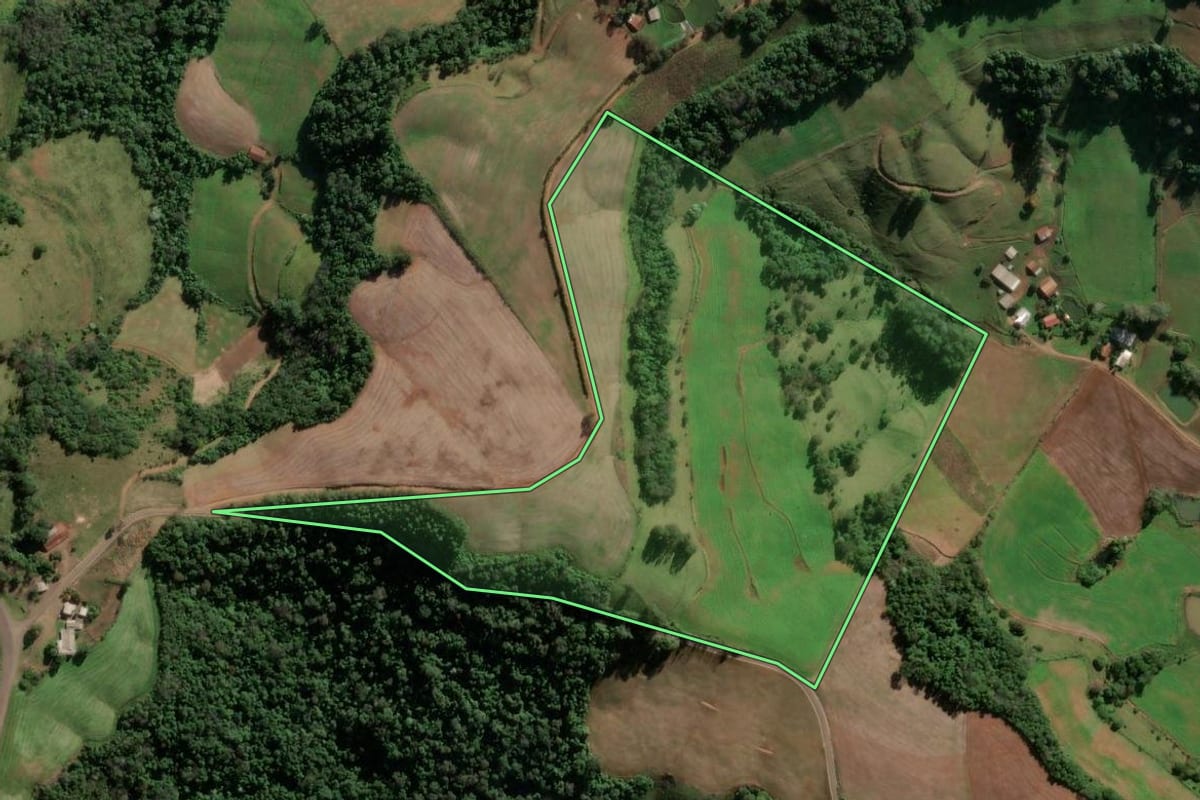 Imagem de satélite do imóvel rural em Vicente Dutra (RS), com o contorno declarado no CAR desenhado por cima.