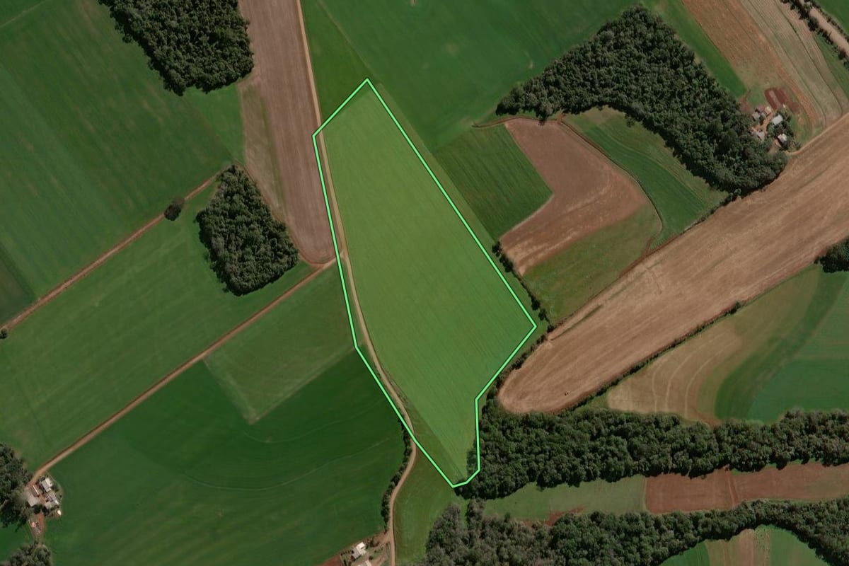 Imagem de satélite do imóvel rural em Victor Graeff (RS), com o contorno declarado no CAR desenhado por cima.