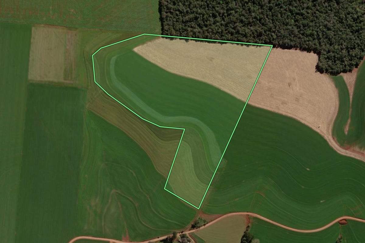 Imagem de satélite do imóvel rural em Victor Graeff (RS), com o contorno declarado no CAR desenhado por cima.