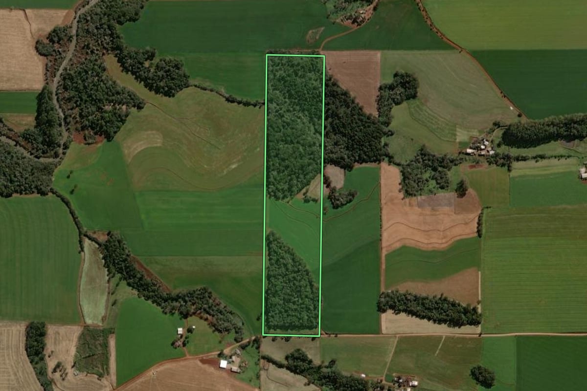 Imagem de satélite do imóvel rural em Victor Graeff (RS), com o contorno declarado no CAR desenhado por cima.