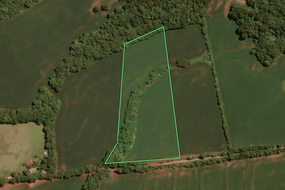 Imagem de satélite do imóvel rural em Victor Graeff (RS), com o contorno declarado no CAR desenhado por cima.