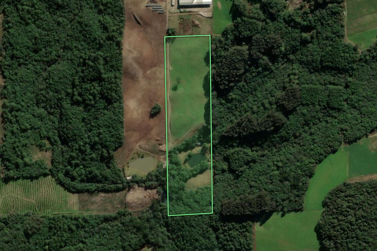 Imagem de satélite do imóvel rural em Vila Flores (RS), com o contorno declarado no CAR desenhado por cima.